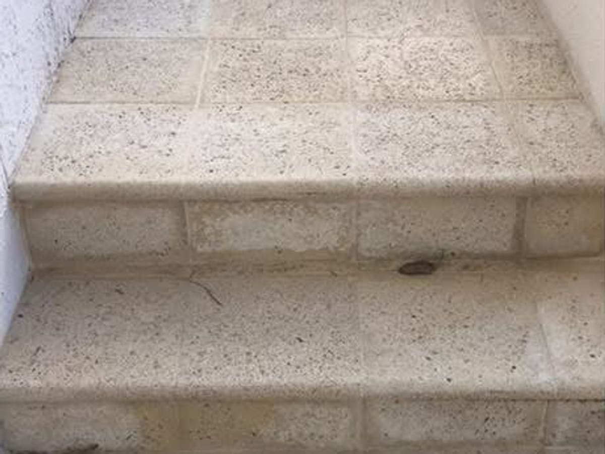 After: Entry steps pressure clean