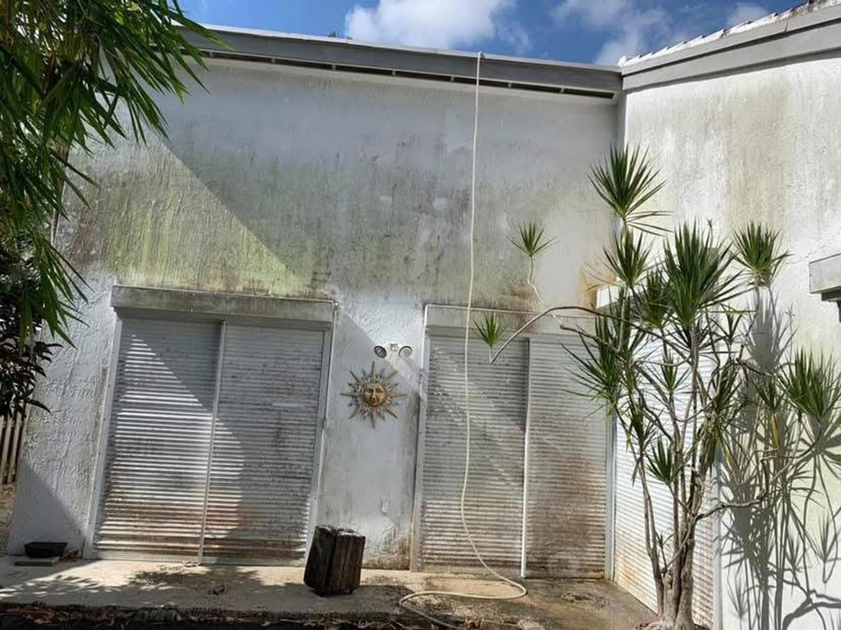 Before: Wall & shutter soft wash